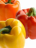 capsicum