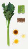 celery, celery seeds, celery oleoresin